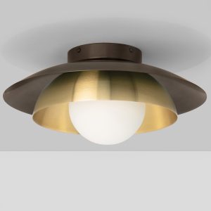 Carapace Ceiling Mounted Light
